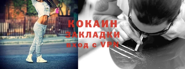 твердый Аркадак