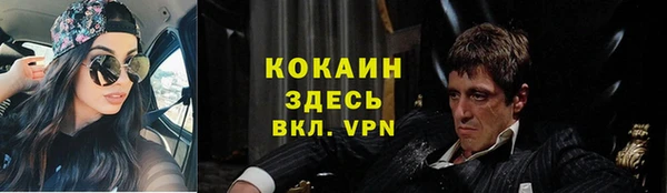 твердый Аркадак