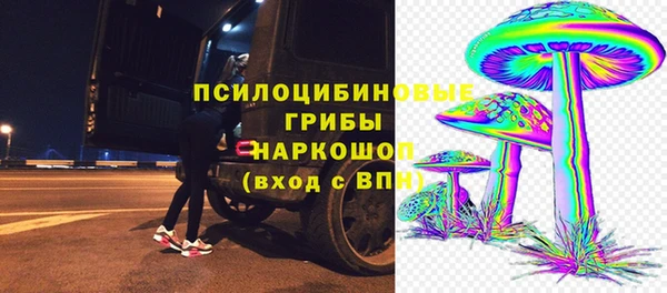 твердый Аркадак