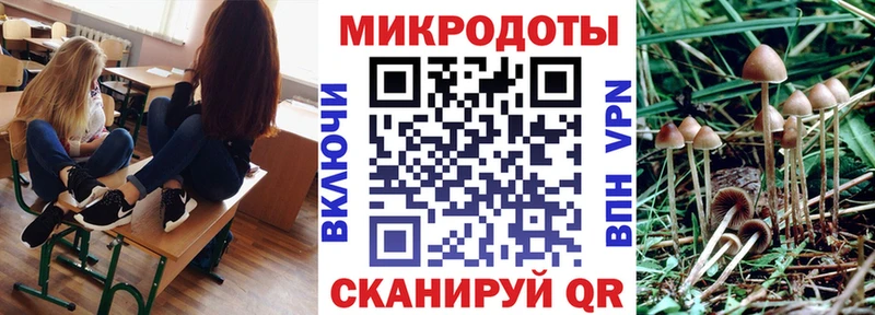 где найти наркотики  блэк спрут сайт  Галлюциногенные грибы прущие грибы  Сясьстрой 