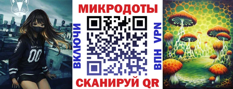 Псилоцибиновые грибы ЛСД Сясьстрой